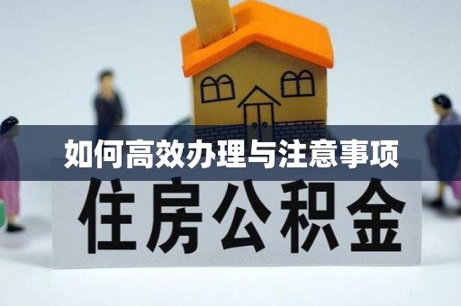 留坝如何高效办理与注意事项