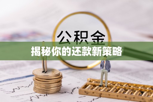 留坝揭秘你的还款新策略