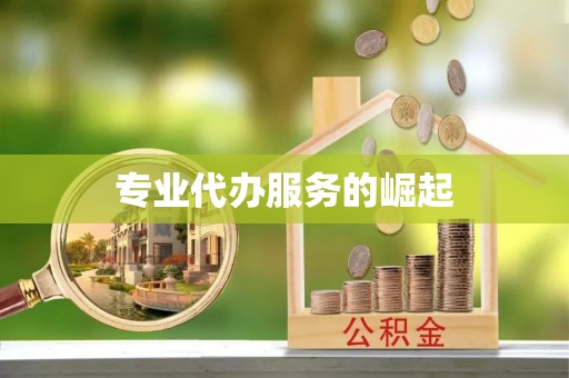 留坝专业代办服务的崛起