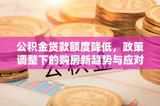 留坝公积金贷款额度降低，政策调整下的购房新趋势与应对策略