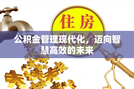 留坝公积金管理现代化，迈向智慧高效的未来