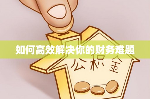 留坝如何高效解决你的财务难题