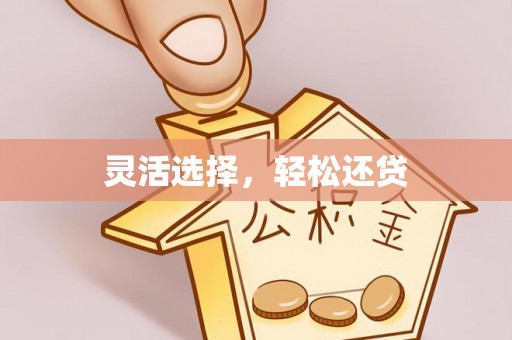留坝灵活选择，轻松还贷