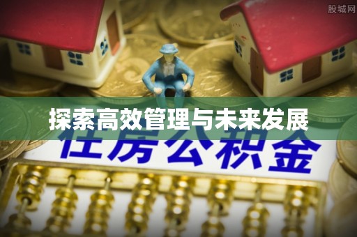 留坝探索高效管理与未来发展