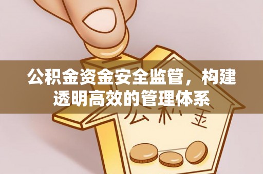 留坝公积金资金安全监管，构建透明高效的管理体系