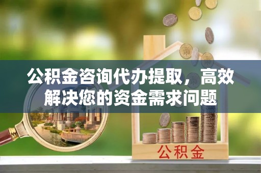 留坝公积金咨询代办提取，高效解决您的资金需求问题