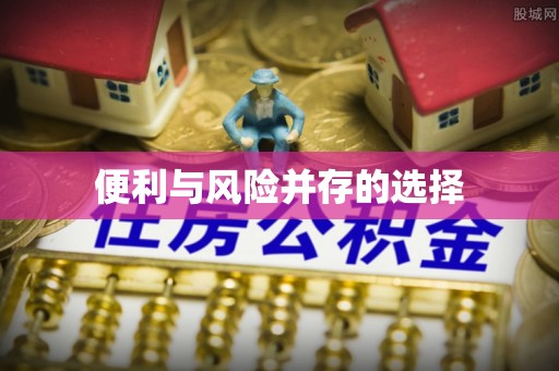 留坝便利与风险并存的选择